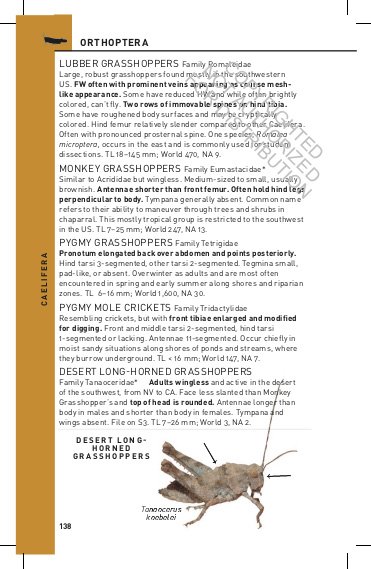 princeton field guides. insects of north america