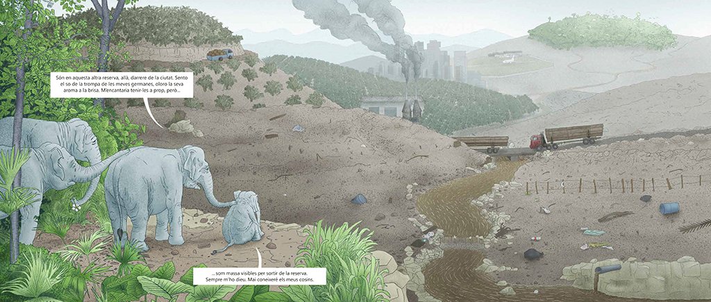 quan la selva desapareix