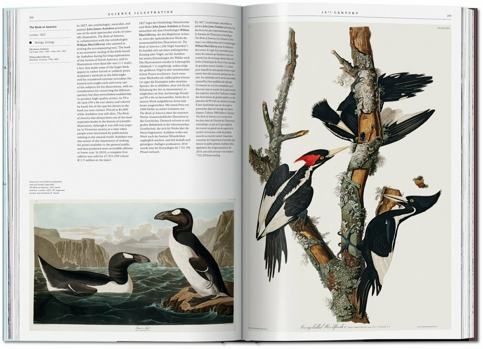 science illustration. a history of visual knowledge from the 15th century to today