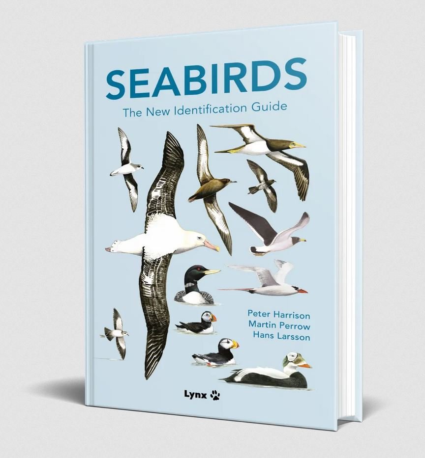 seabirds. the new identification guide