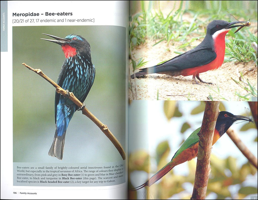 the birder's guide to africa