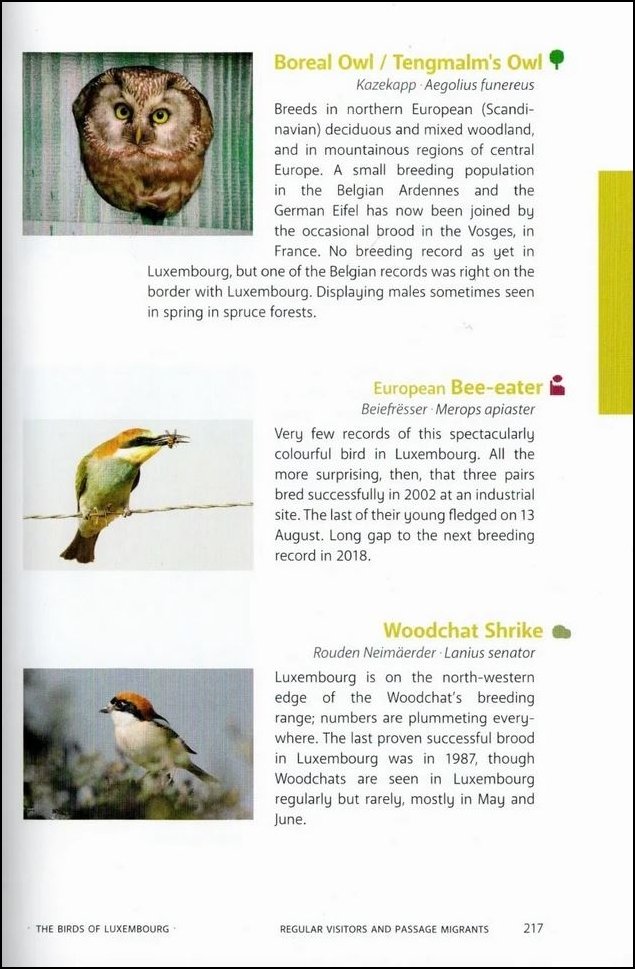 the birds of luxembourg