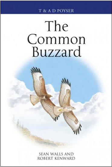 the common buzzard
