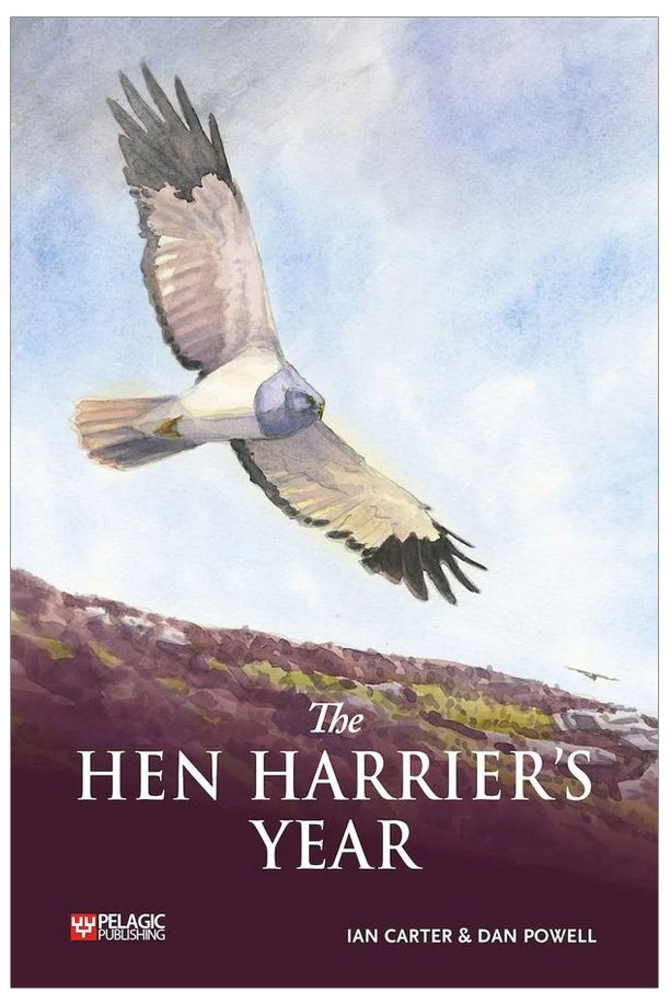 the hen harrier's year