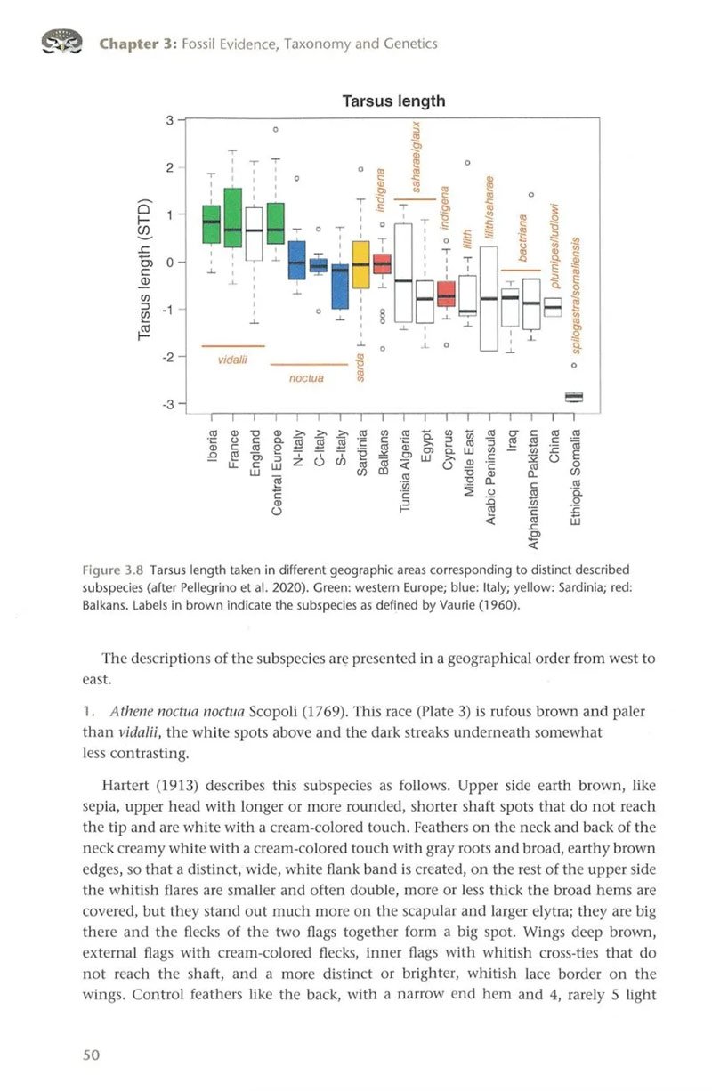 the little owl. population dynamics, behavior and management of athene noctua