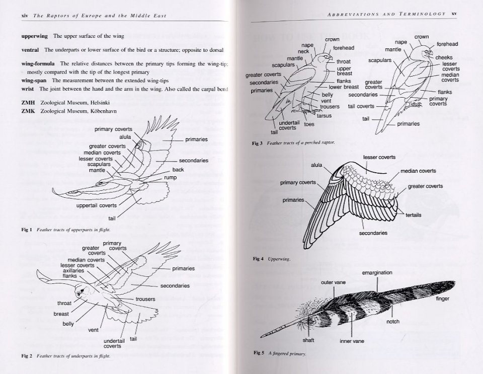 the raptors of europe and the middle east. a handbook of field identification.