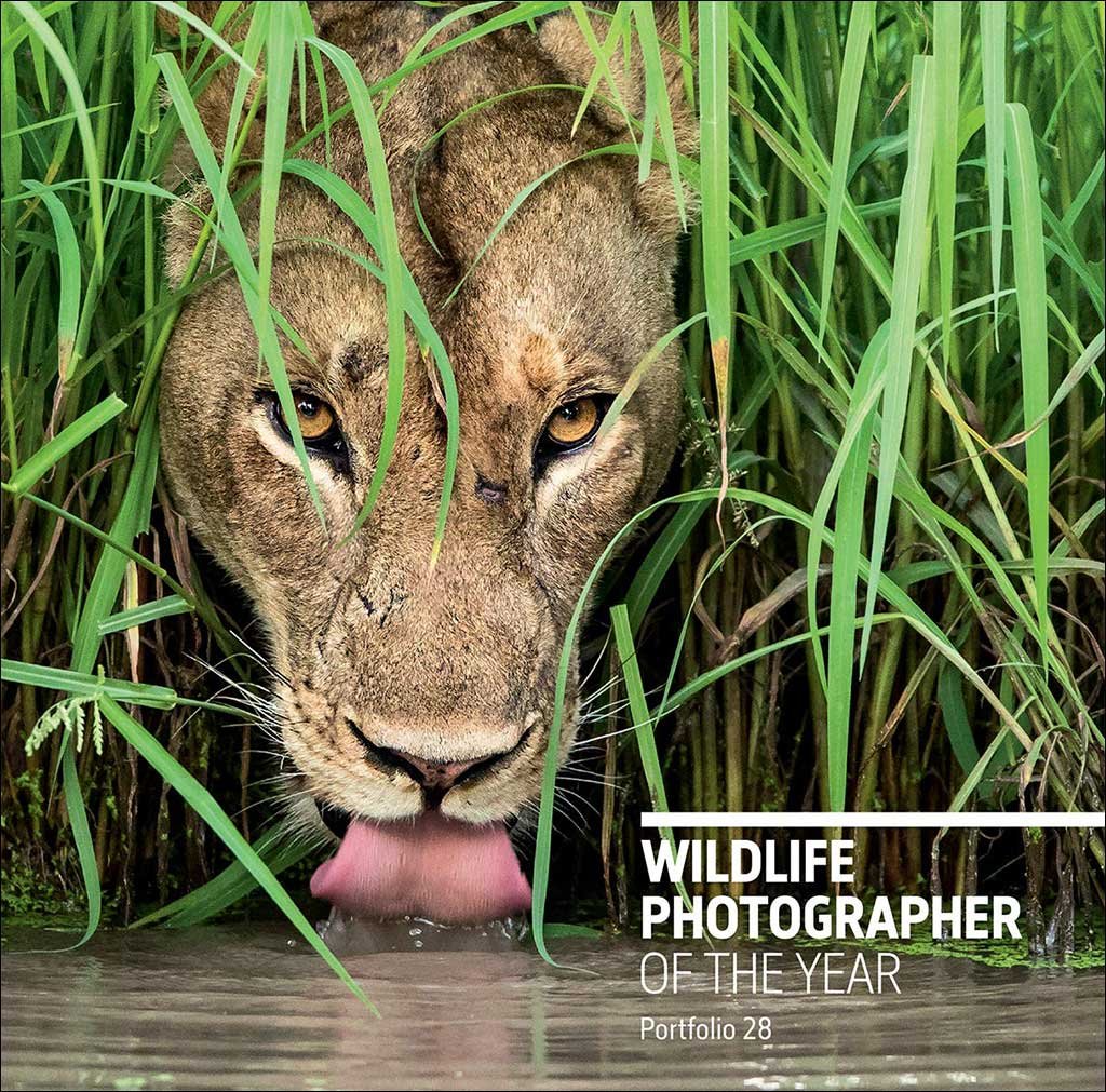 wildlife photographer of the year. portfolio 28
