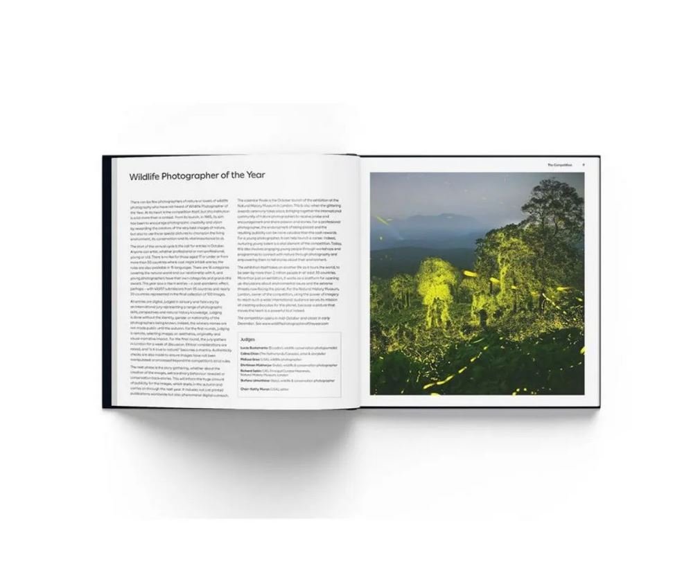 wildlife photographer of the year. portfolio 33