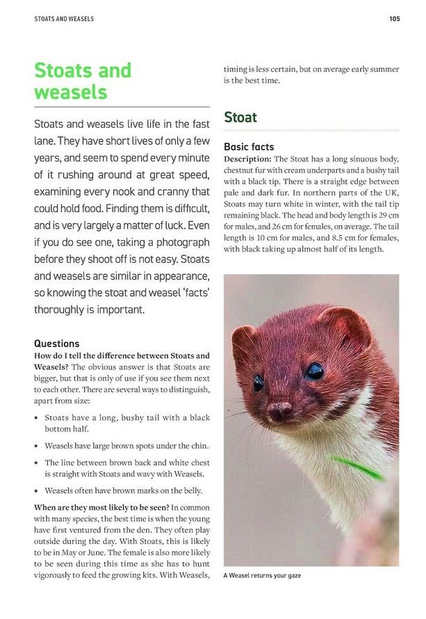 wildlife photography fieldcraft