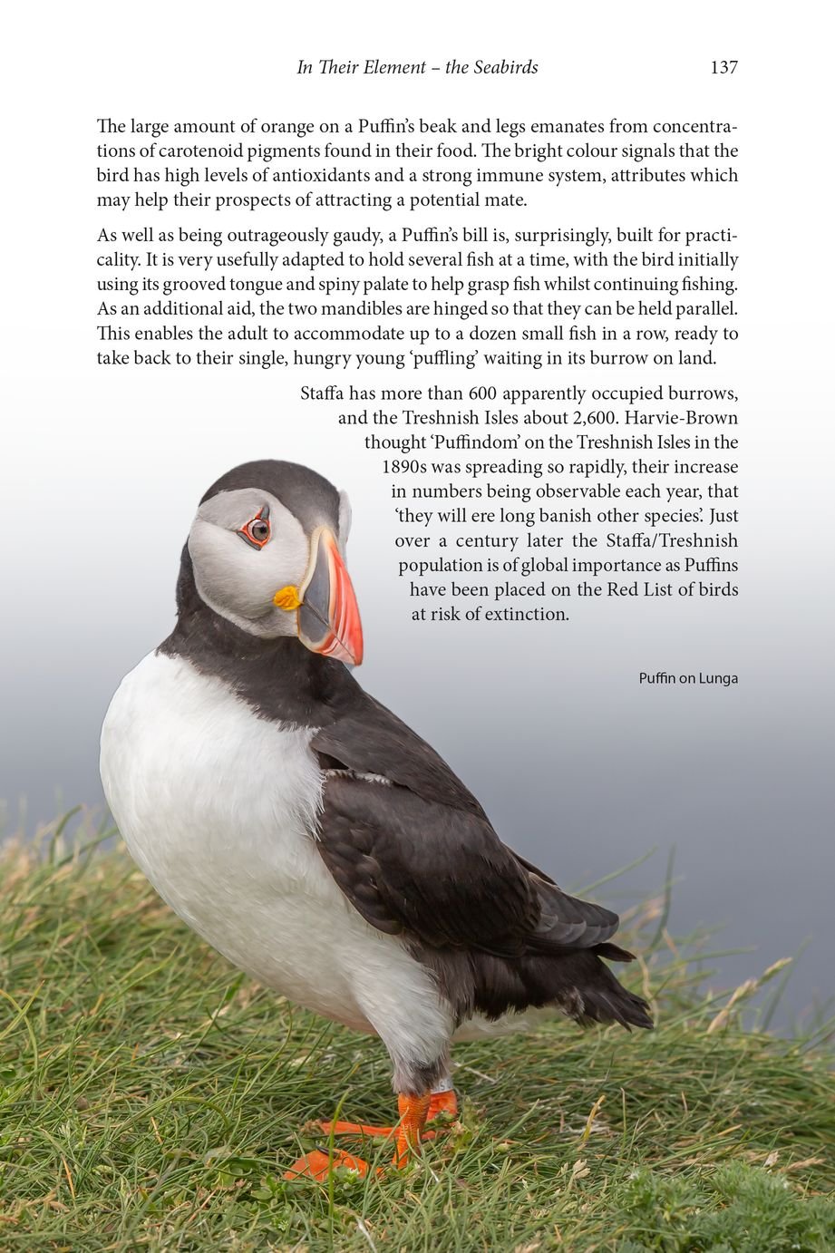 wild mull. a natural history of the island and its people