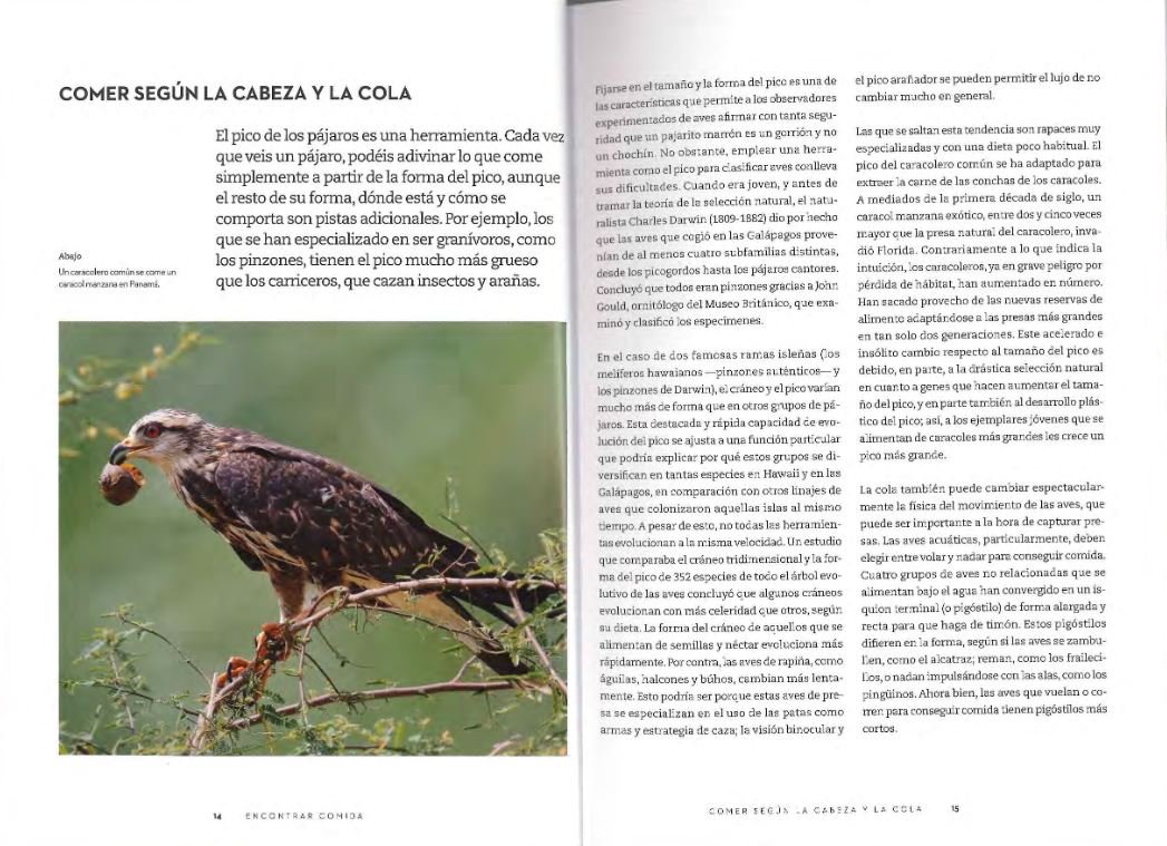 el comportamiento de las aves. cmo interpretar lo que hacen y por qu