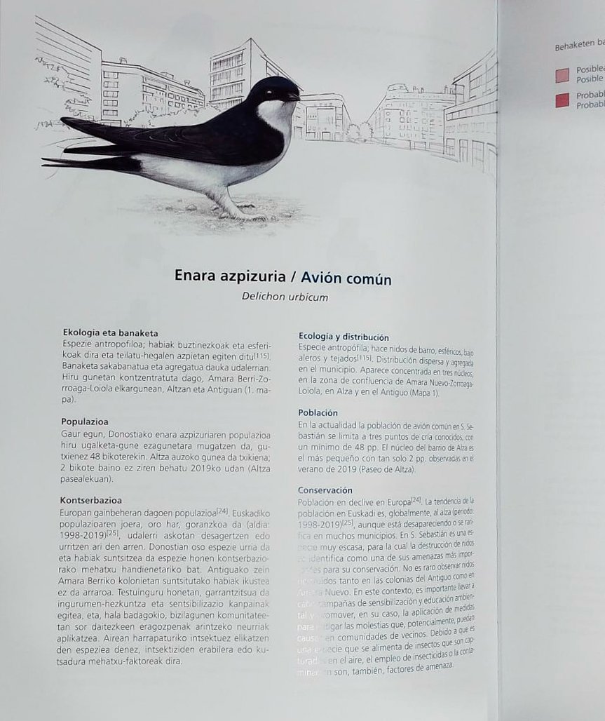 donostiako hegazti habiagileen atlasa/ atlas de aves nidificantes de san sebastin