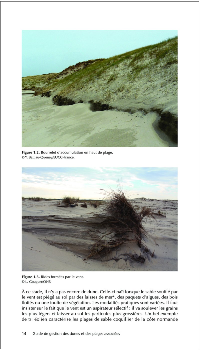 guide de gestion des dunes et des plages associes