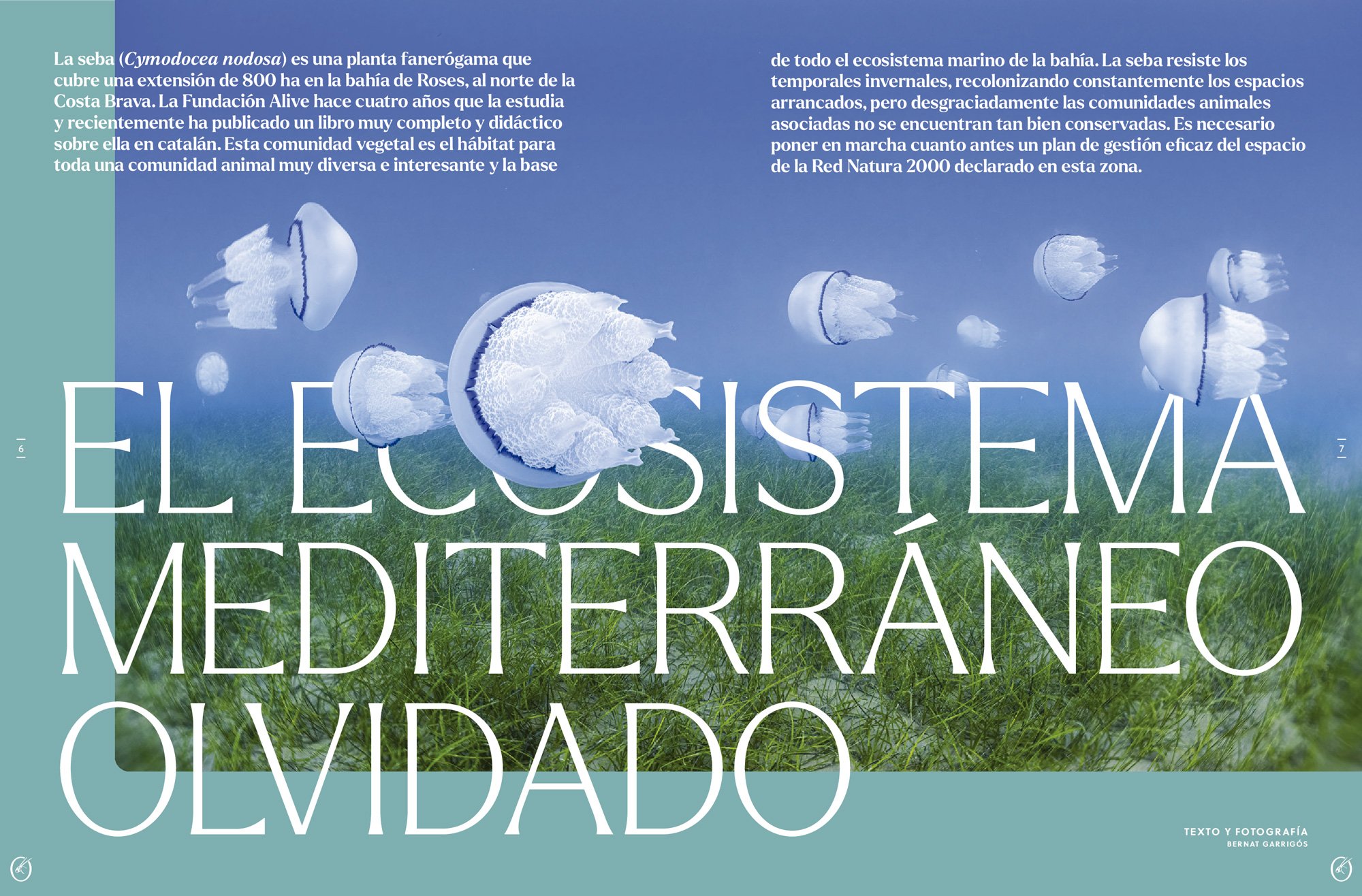 oryx, la revista del amante de la naturaleza. nmero 01. versin impresa en castellano.