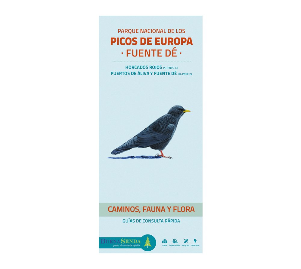 parque nacional de los picos de europa. fuente d. caminos, fauna y flora. guas de consulta rpida