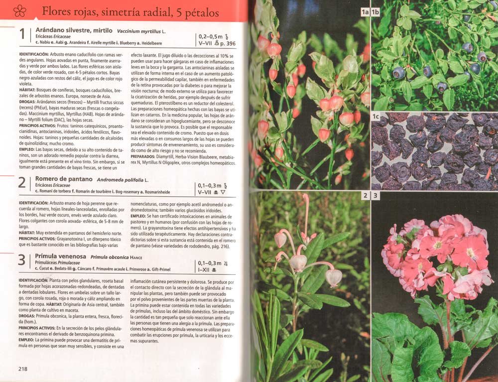 plantas medicinales de europa. descripcin de ms de 600 especies medicinales y venenosas
