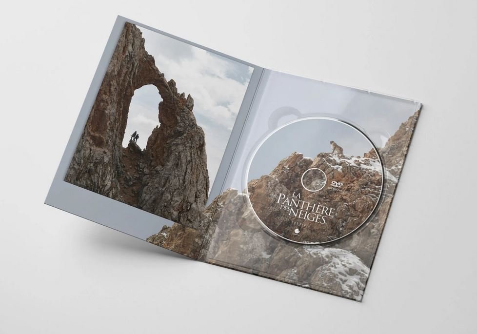 dvd la panthre des neiges