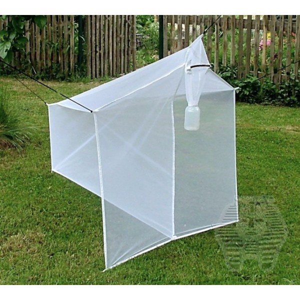 trampa malayse para entomologa blanca