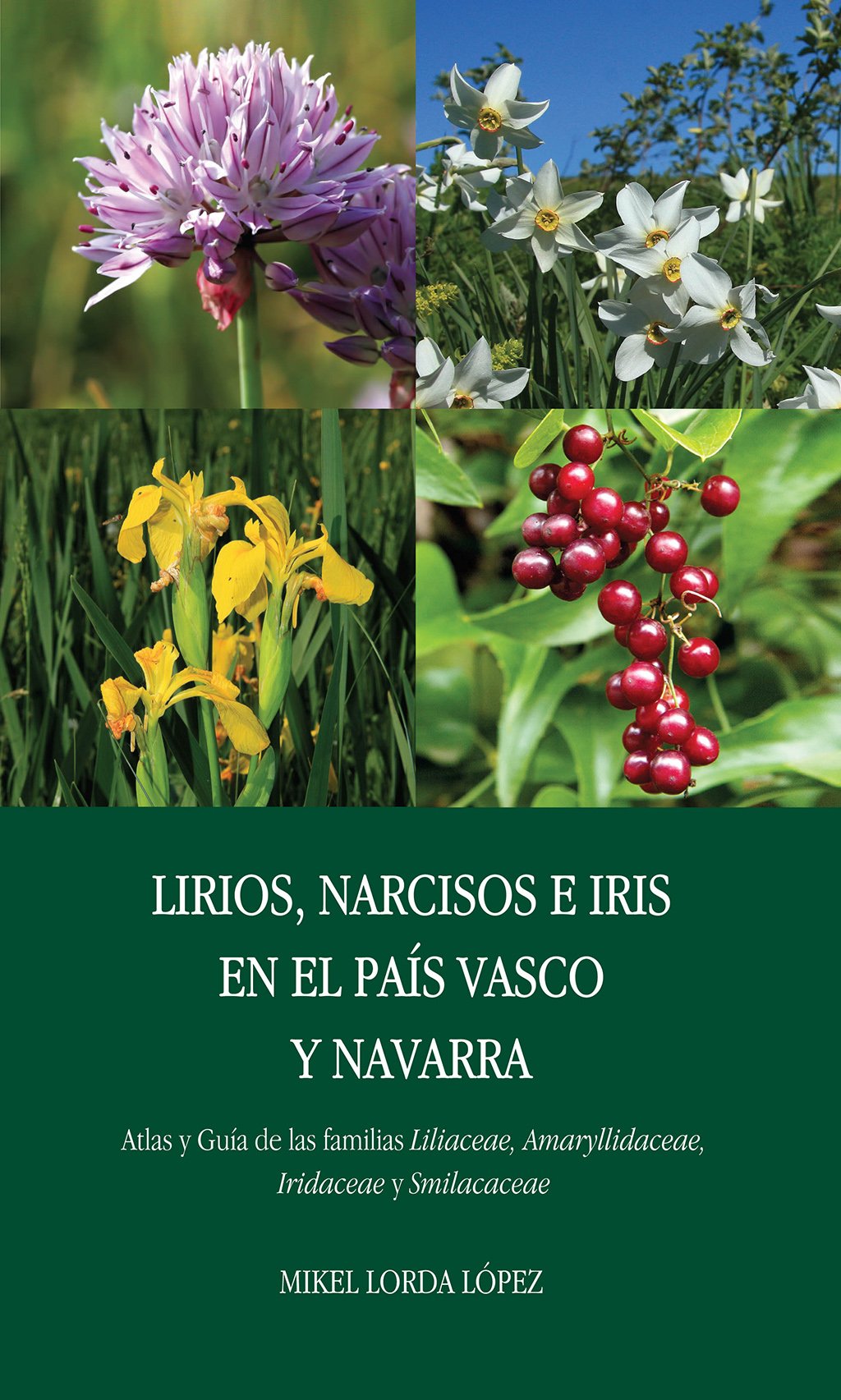 lirios, narcisos e iris en el pas vasco y navarra. atlas y gua de las familias liliaceae, amaryllidaceae, iridaceae y smilacaceae