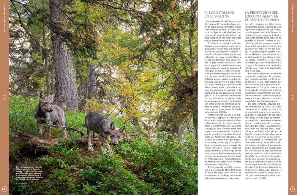 oryx, la revista del amante de la naturaleza. nmero 04. versin impresa en castellano.