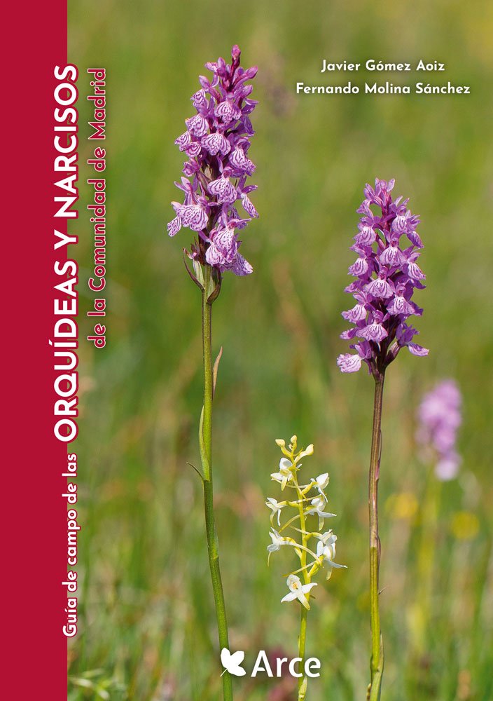 gua de campo de las orqudeas y narcisos de la comunidad de madrid