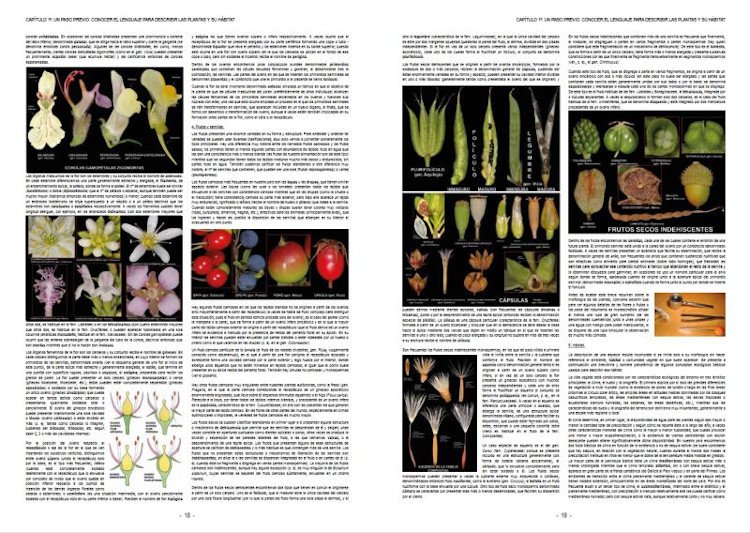 plantas silvestres de espaa peninsular. gua fotogrfica y claves para su identificacin