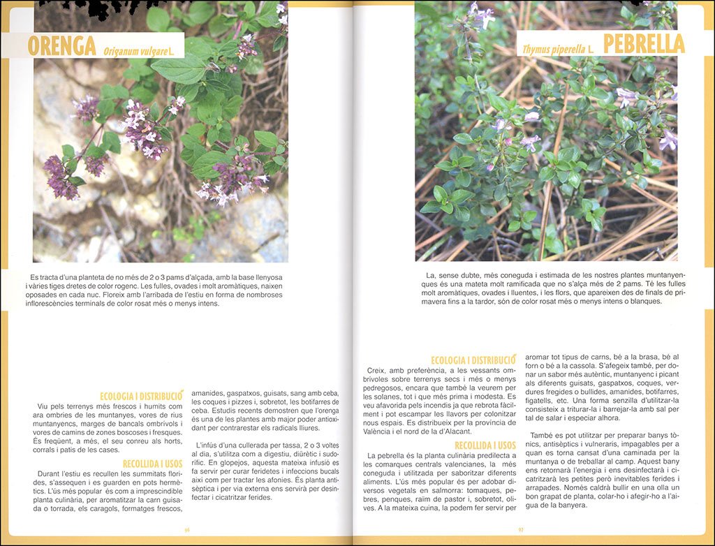 herbari mengvol. guia per a l's gastronmic de la flora silvestre