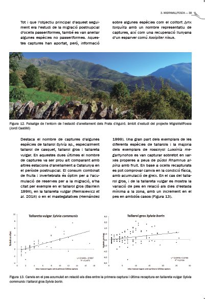 migra vall fosca. la migraci d'ocells passeriformes pel pirineu catal