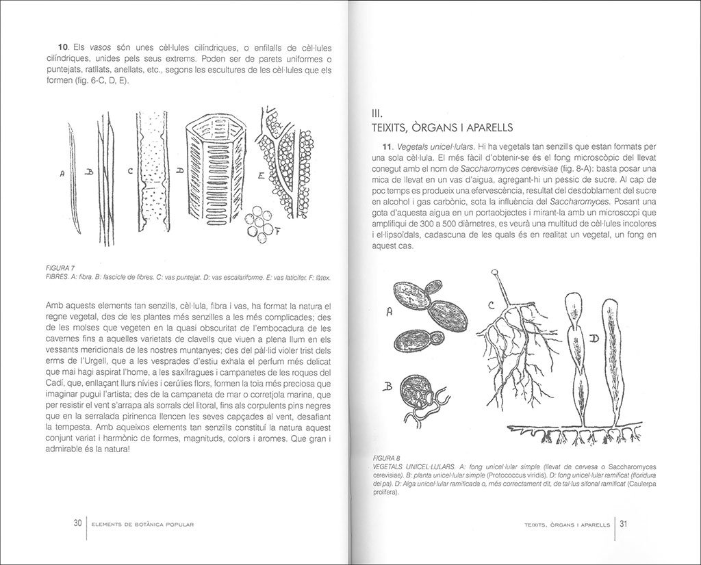 elements de botnica popular