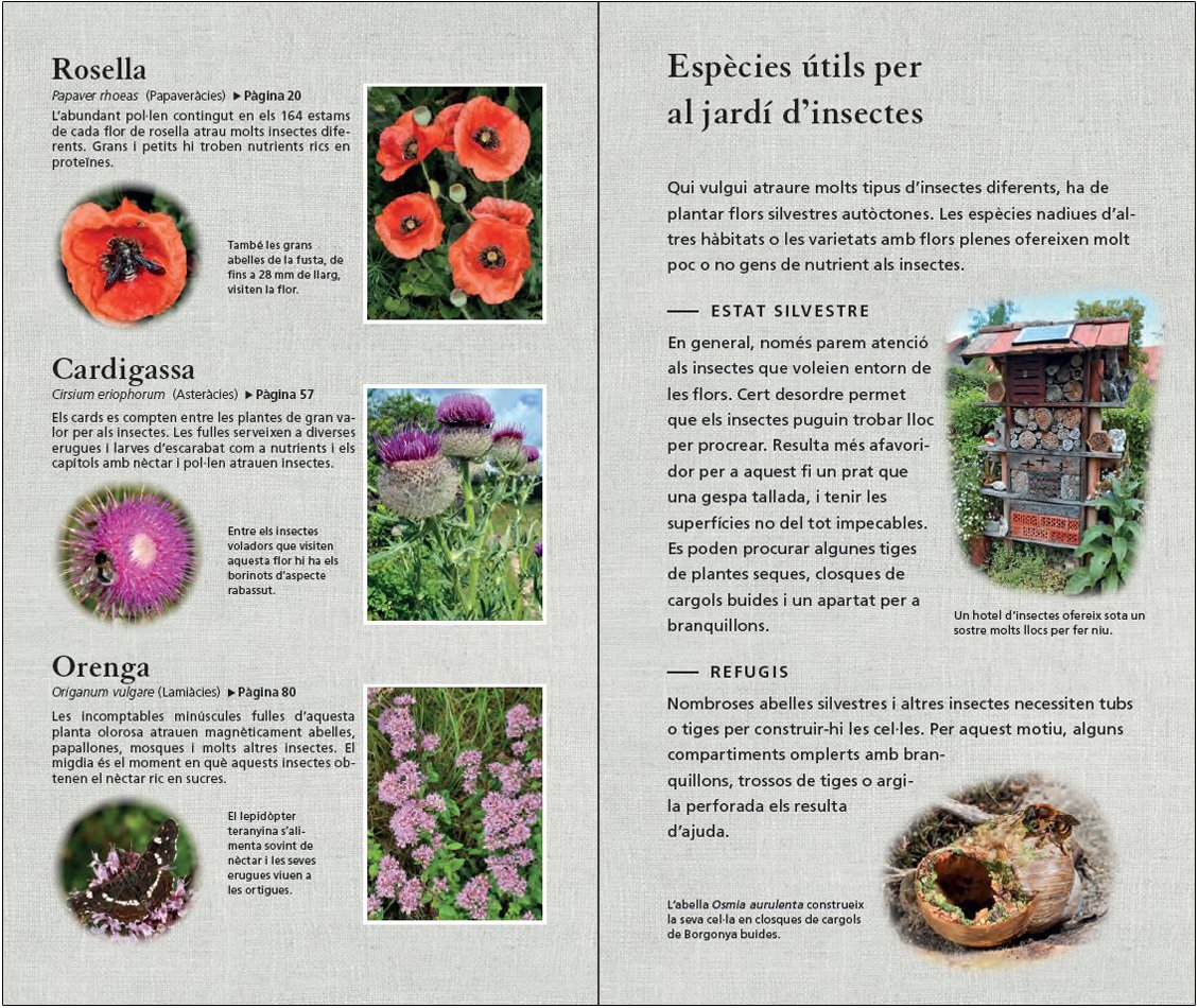 flors. 450 espcies d'europa