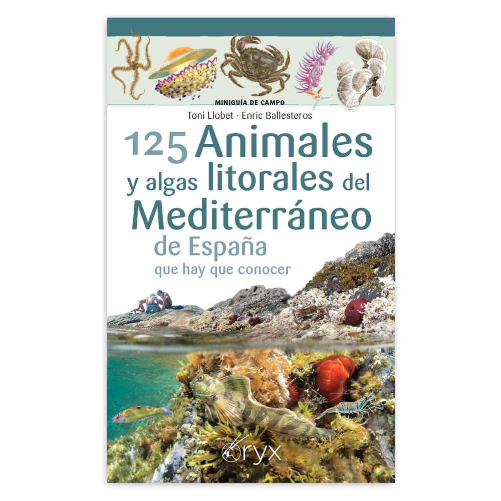 125 animales y algas litorales del mediterrneo de espaa que hay que conocer. minigua de campo