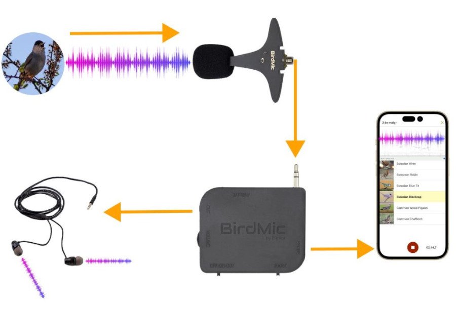 birdmic pack micrfon per a famlies