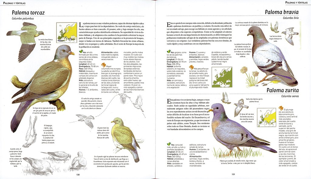 atlas ilustrado de las aves de espaa y europa