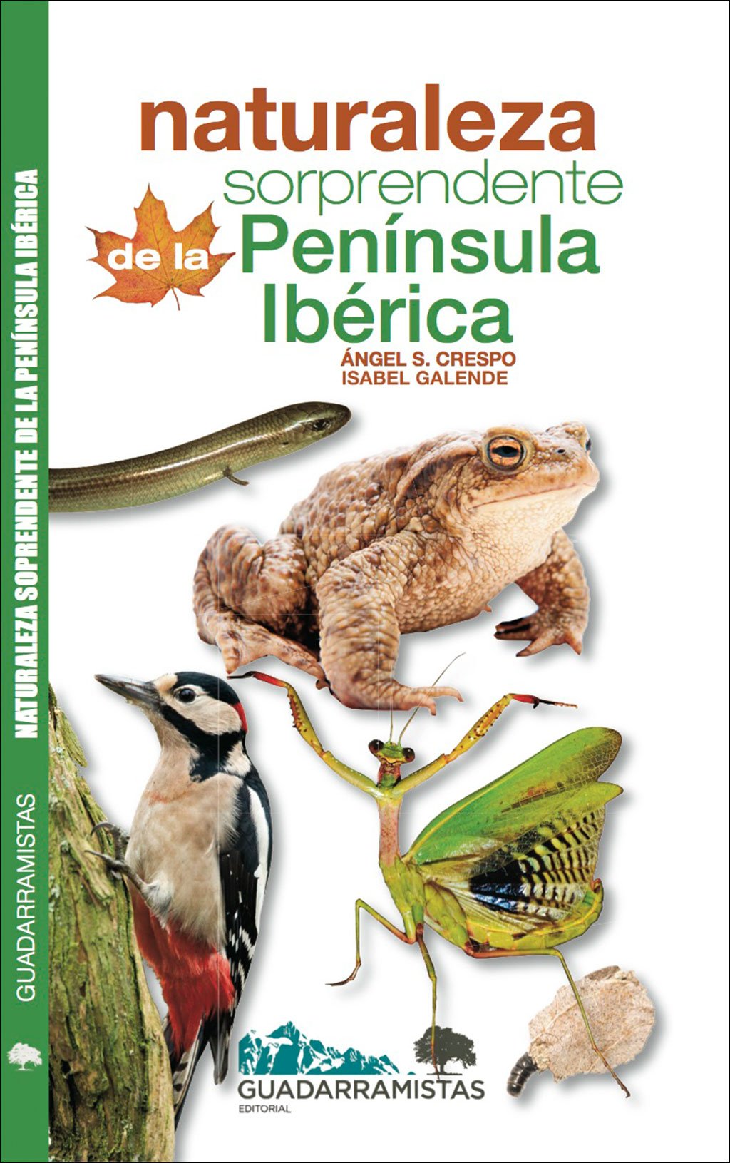 naturaleza sorprendente de la pennsula ibrica