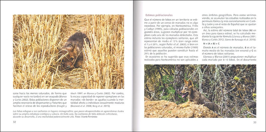 lobos. poblacin de castilla y len. situacin en espaa