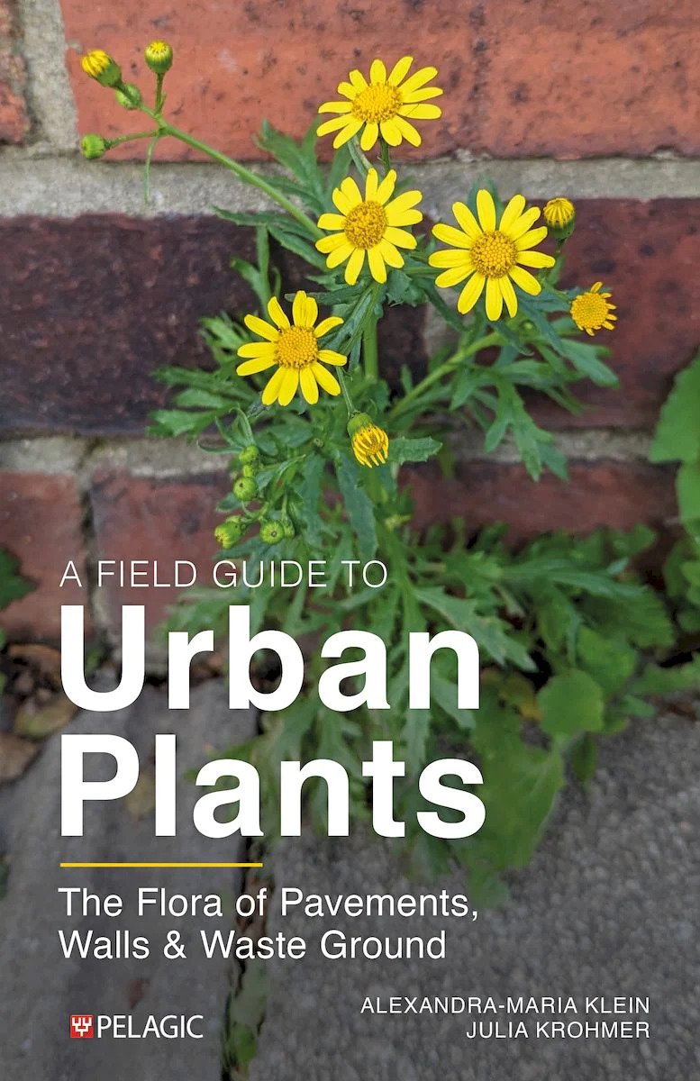 a field guide to urban plants. the flora of pavements, walls and waste ground