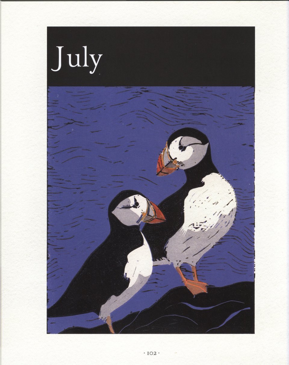 an illustrated country year. nature uncovered month by month