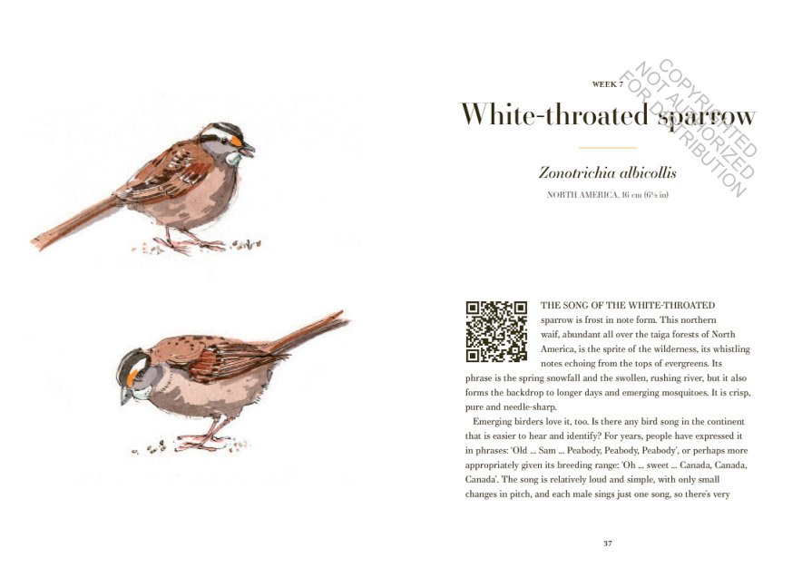 a year of birdsong. 52 stories of songbirds