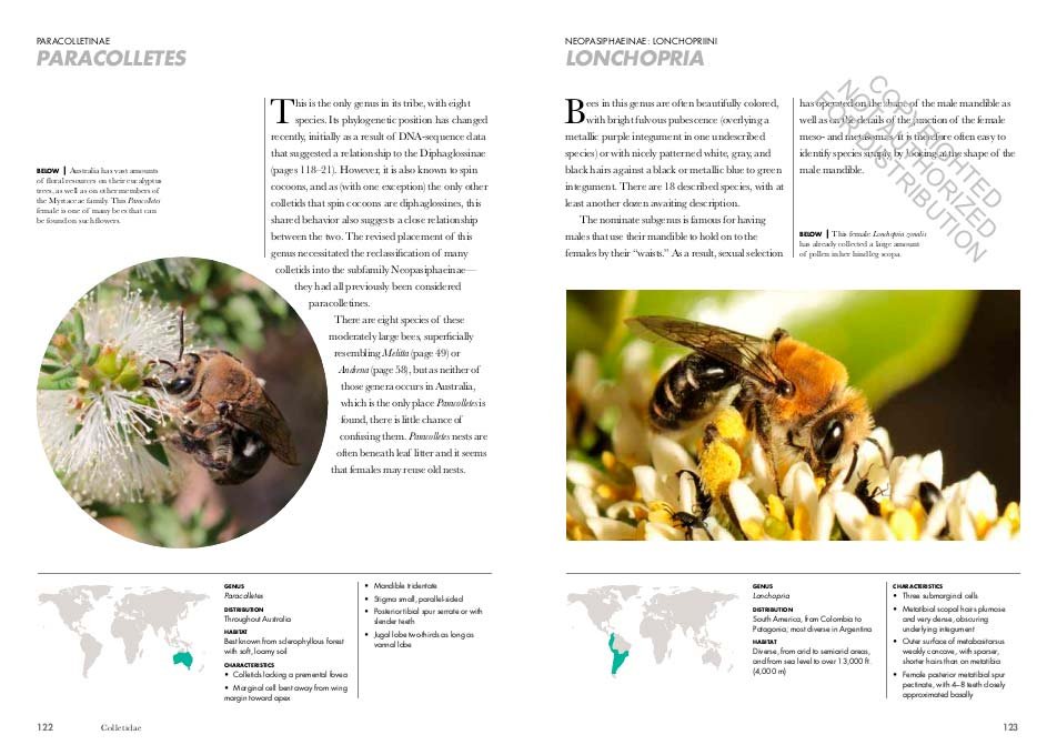 bees of the world. a guide to every family
