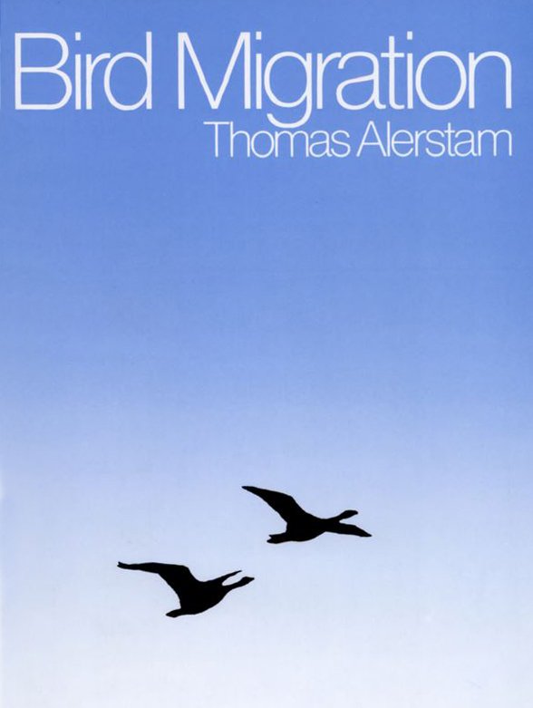 bird migration