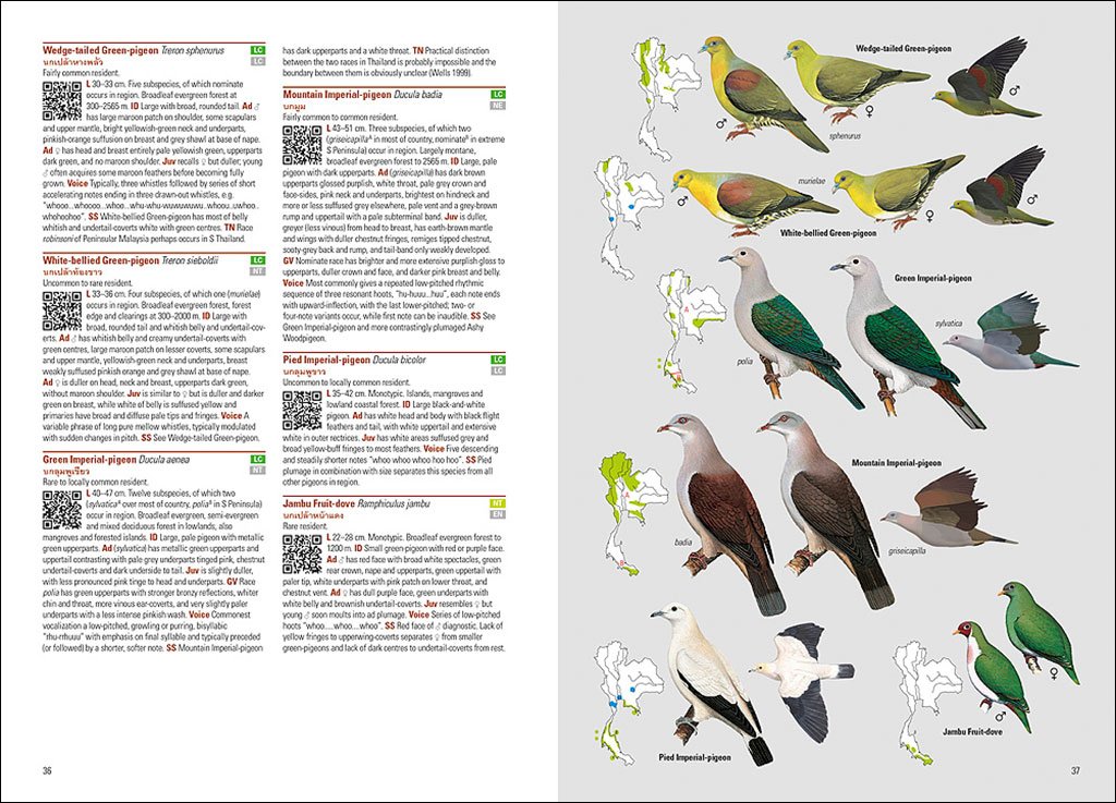 birds of thailand
