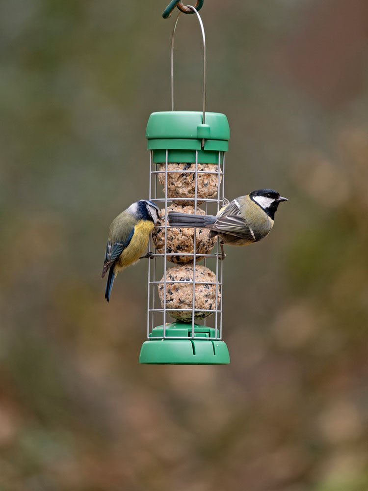 bl2-b1g "bird lovers" comedero tubular para aves silvestres para 3 bolas de sebo