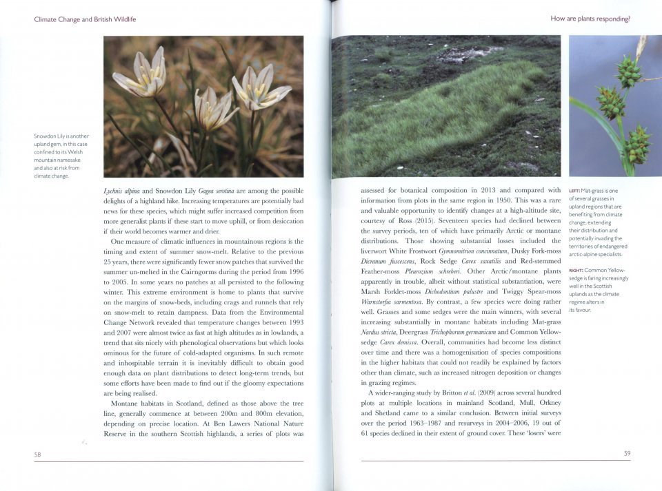 climate change and british wildlife