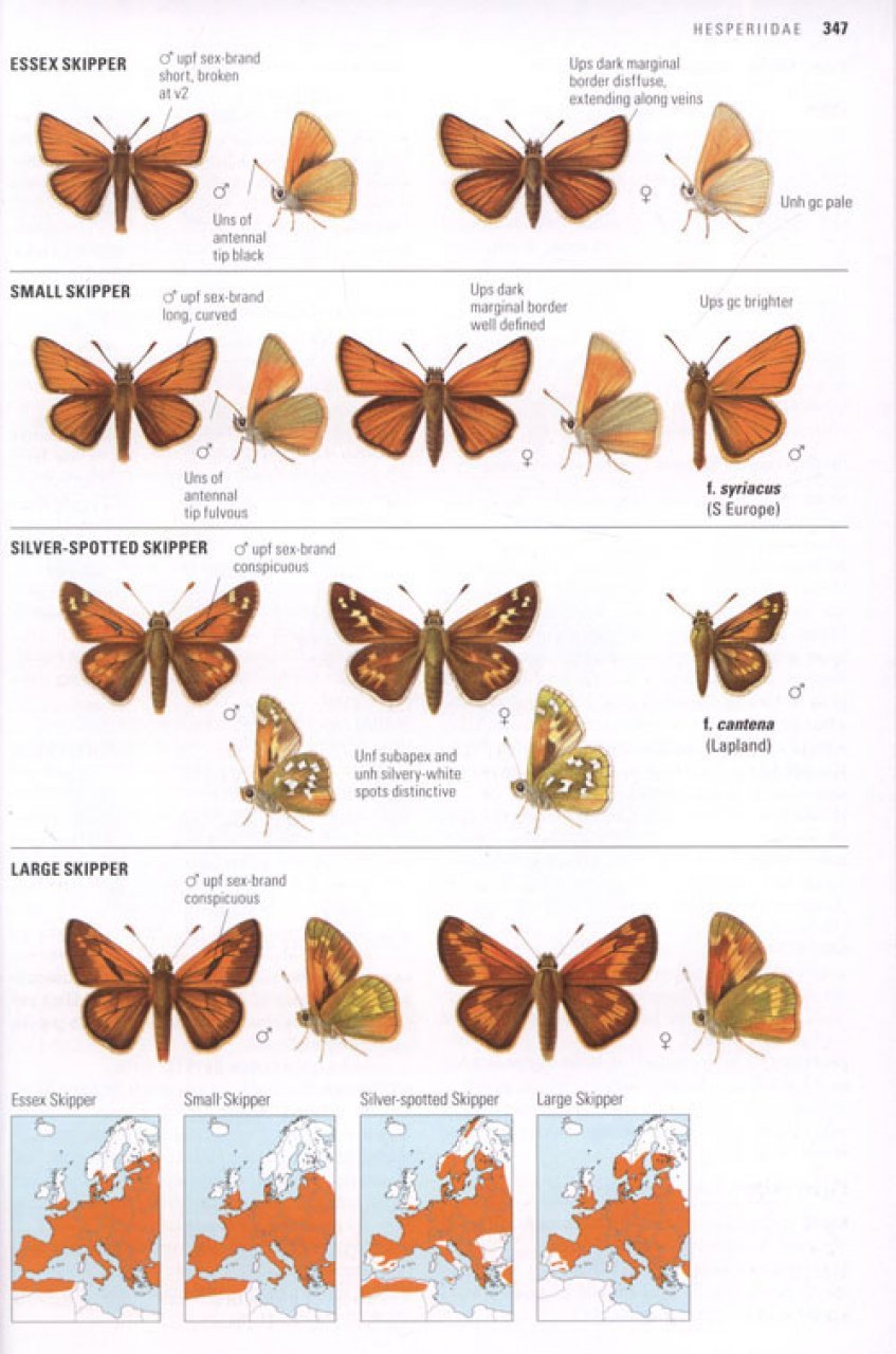 collins butterfly guide. the most complete guide to the butterflies of britain and europe
