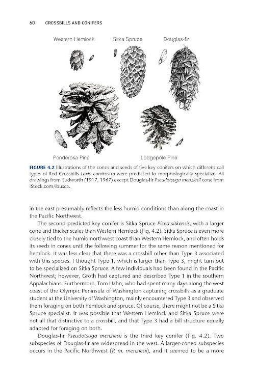 crossbills & conifers. one million years of adaptation and coevolution