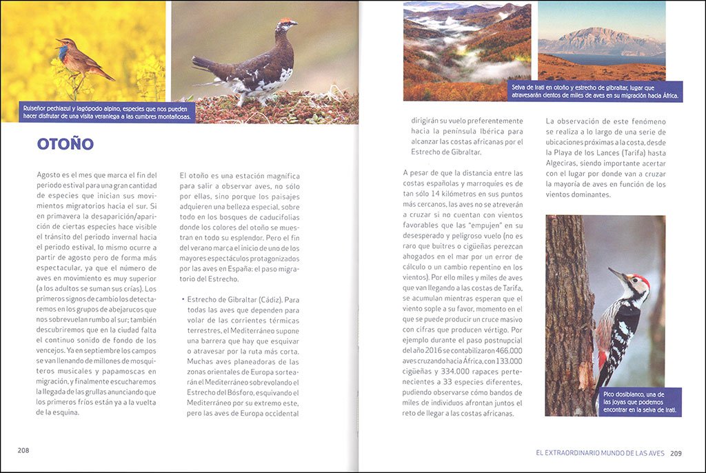 el extraordinario mundo de las aves