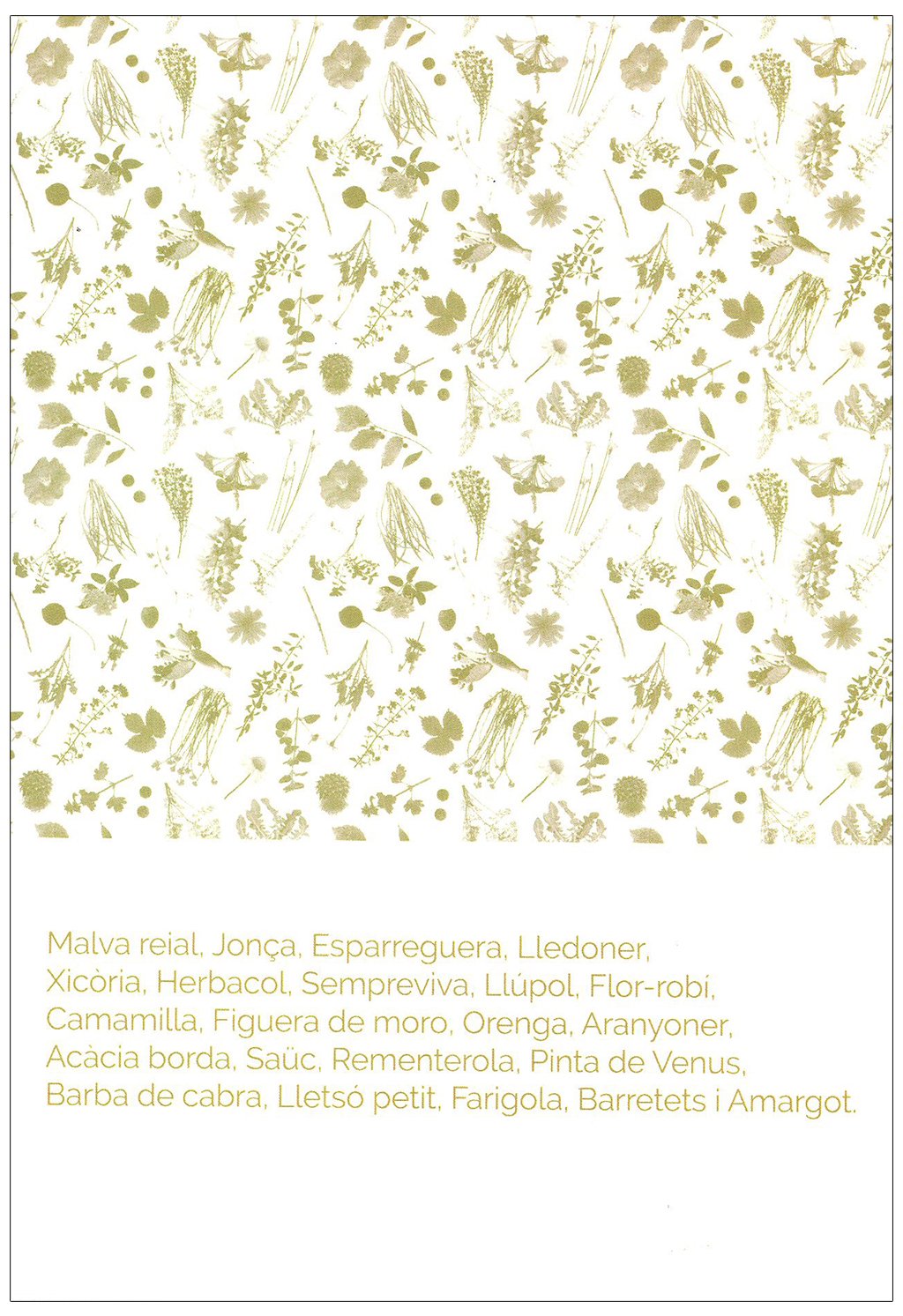 el llibre de les plantes silvestres comestibles 3