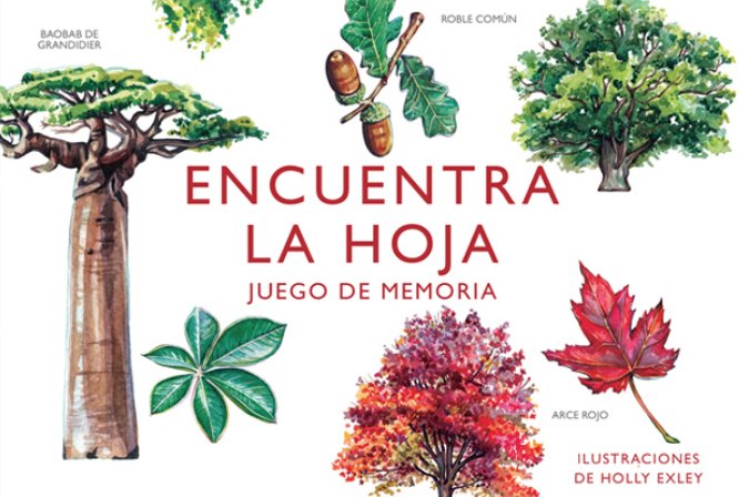 encuentra la hoja. juego de memoria
