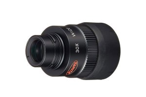 eyepieces