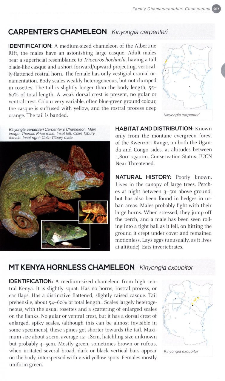 field guide to east african reptiles